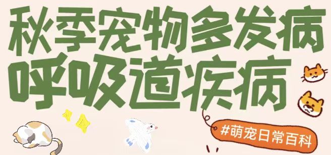 🤧秋季宠物呼吸道疾病 | 这份攻略请收好