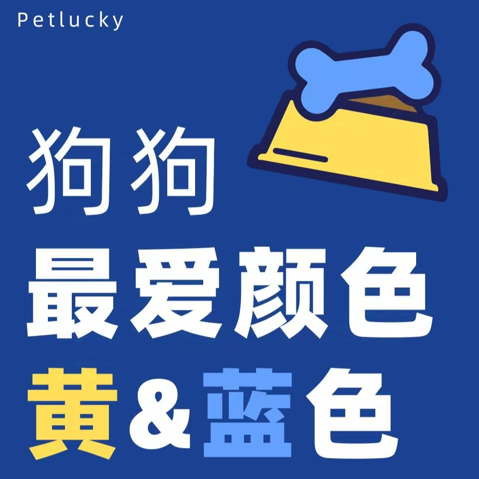 🌟揭秘！狗狗眼中的色彩世界✨原来它们最喜欢这两种颜色~
