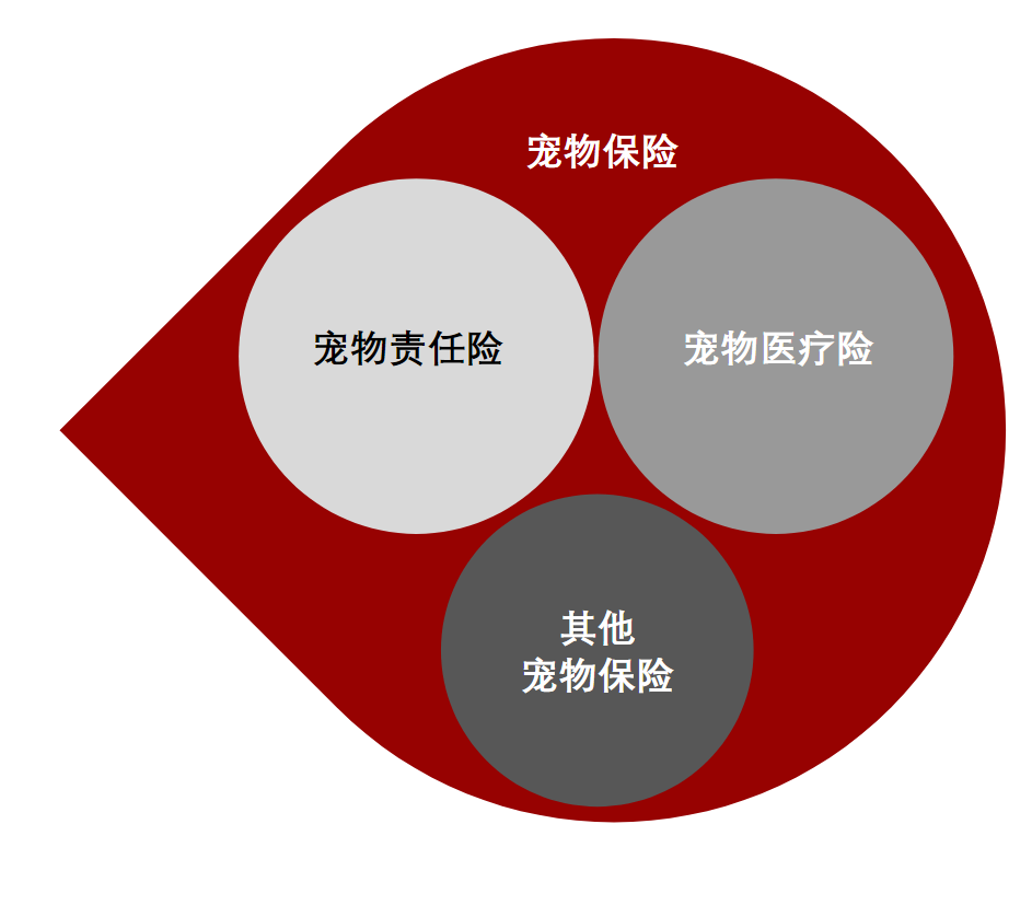 宠物保险与医保：为爱宠健康护航的明智之选